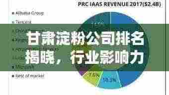 甘肃淀粉公司排名揭晓,行业影响力不容小觑