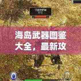 海岛武器图鉴大全,最新攻略助你无敌海岛冒险之旅!