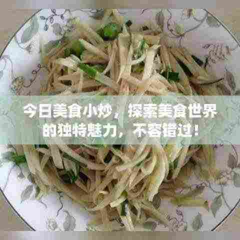 今日美食小炒，探索美食世界的独特魅力，不容错过！
