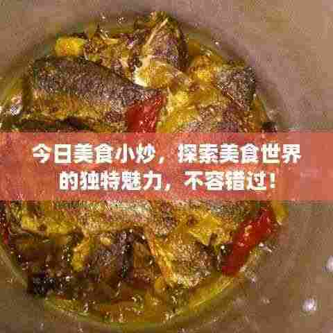 今日美食小炒,探索美食世界的独特魅力,不容错过!