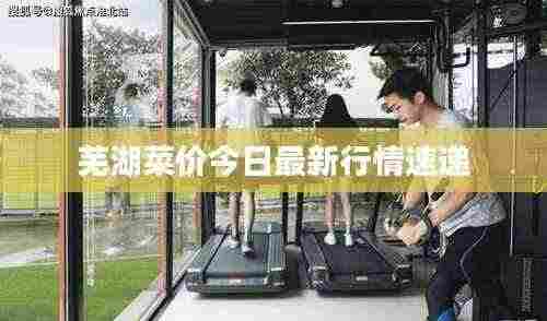 芜湖菜价今日最新行情速递