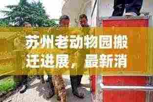 苏州老动物园搬迁进展，最新消息揭秘