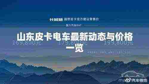 山东皮卡电车最新动态与价格一览