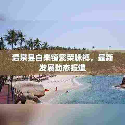 温泉县白来镇繁荣脉搏，最新发展动态报道