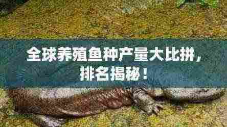 全球养殖鱼种产量大比拼，排名揭秘！