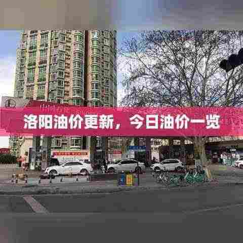 洛阳油价更新,今日油价一览