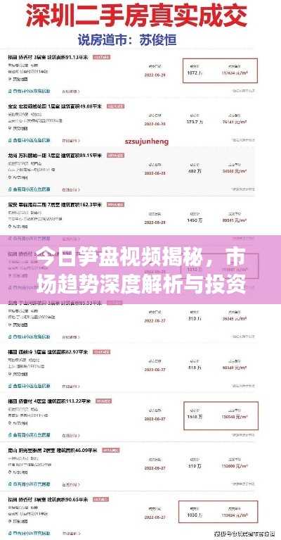 今日笋盘视频揭秘，市场趋势深度解析与投资机会独家洞察