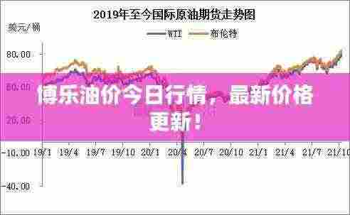 博乐油价今日行情，最新价格更新！