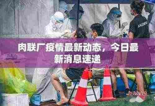 肉联厂疫情最新动态,今日最新消息速递