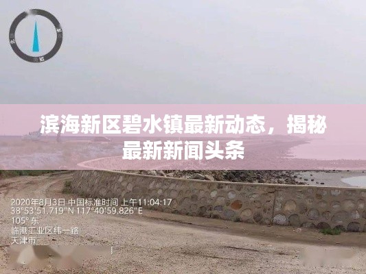 滨海新区碧水镇最新动态，揭秘最新新闻头条