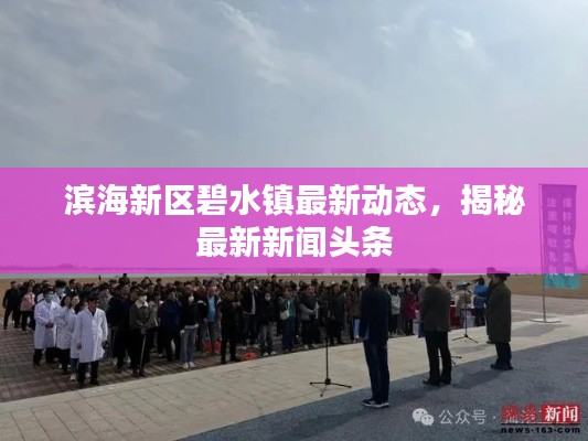 滨海新区碧水镇最新动态,揭秘最新新闻头条