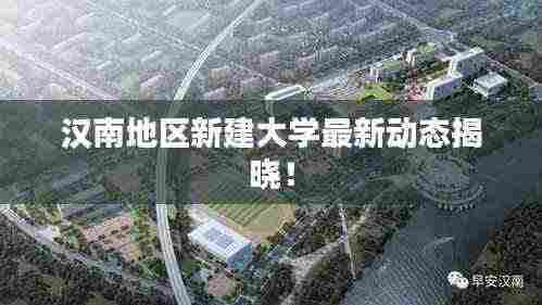 汉南地区新建大学最新动态揭晓！