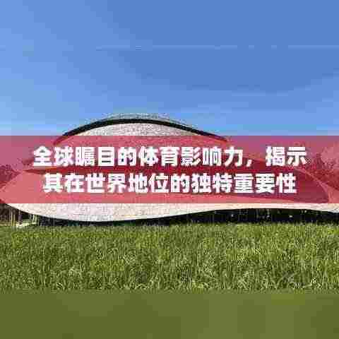 全球瞩目的体育影响力，揭示其在世界地位的独特重要性