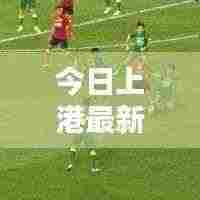 今日上港最新动态速递