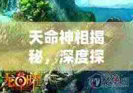 天命神相揭秘，深度探索背后的奥秘