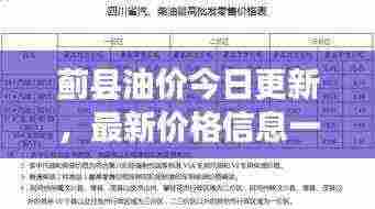 蓟县油价今日更新,最新价格信息一览