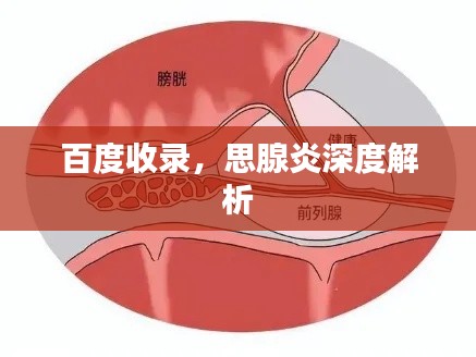 百度收录,思腺炎深度解析