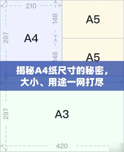 揭秘A4纸尺寸的秘密,大小、用途一网打尽