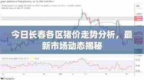 今日长春各区猪价走势分析，最新市场动态揭秘