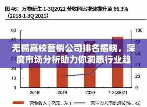 无锡高校营销公司排名揭晓,深度市场分析助力你洞悉行业趋势