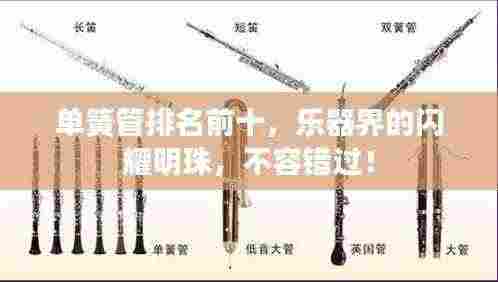 单簧管排名前十，乐器界的闪耀明珠，不容错过！
