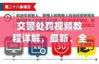 交警处罚视频教程详解，最新、全面的交通法规执行指南