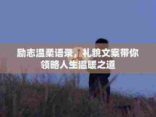 励志温柔语录,礼貌文案带你领略人生温暖之道