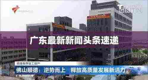 广东最新新闻头条速递