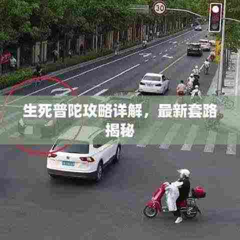 生死普陀攻略详解,最新套路揭秘