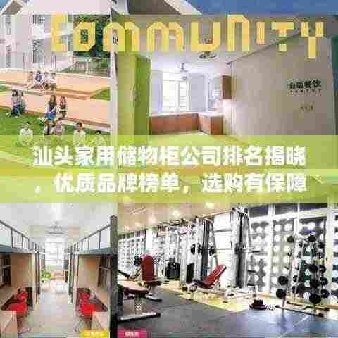 汕头家用储物柜公司排名揭晓,优质品牌榜单,选购有保障!