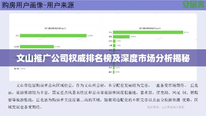 文山推广公司权威排名榜及深度市场分析揭秘