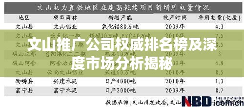 文山推广公司权威排名榜及深度市场分析揭秘