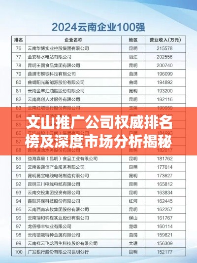 文山推广公司权威排名榜及深度市场分析揭秘