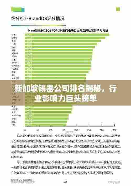 新加坡锡器公司排名揭秘,行业影响力巨头榜单