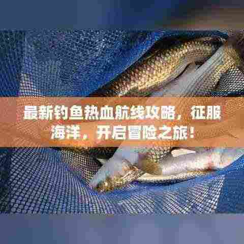 最新钓鱼热血航线攻略，征服海洋，开启冒险之旅！