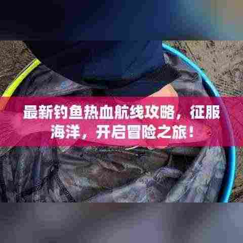 最新钓鱼热血航线攻略,征服海洋,开启冒险之旅!