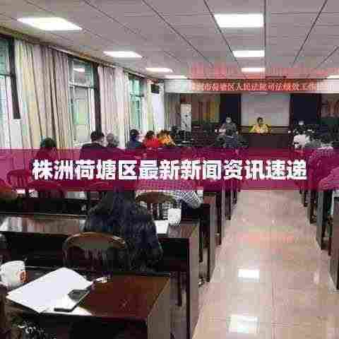 株洲荷塘区最新新闻资讯速递