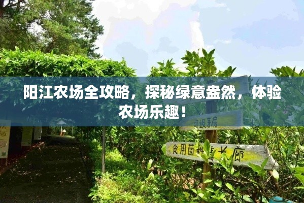 郑重其事 第3页