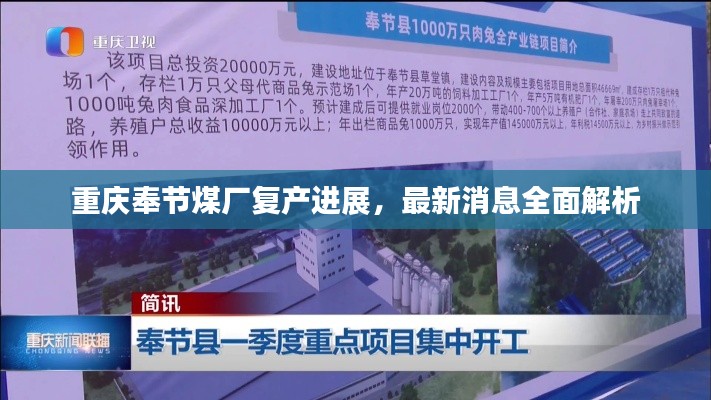 重庆奉节煤厂复产进展,最新消息全面解析
