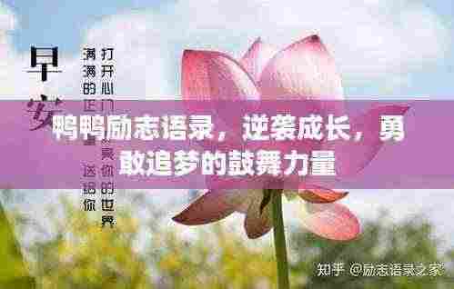 鸭鸭励志语录,逆袭成长,勇敢追梦的鼓舞力量