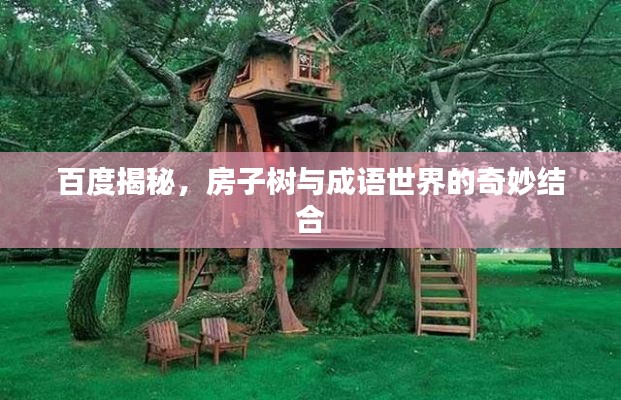 百度揭秘,房子树与成语世界的奇妙结合