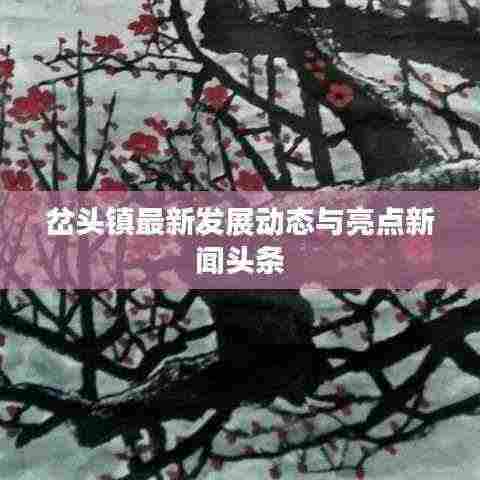 岔头镇最新发展动态与亮点新闻头条