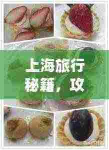 上海旅行秘籍,攻略美食一网打尽!