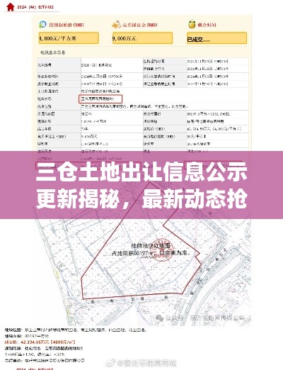 三仓土地出让信息公示更新揭秘，最新动态抢先看！