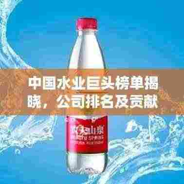 中国水业巨头榜单揭晓,公司排名及贡献揭秘!