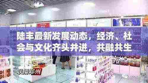 陆丰最新发展动态,经济、社会与文化齐头并进,共融共生新篇章开启
