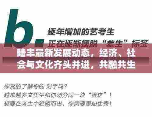 陆丰最新发展动态,经济、社会与文化齐头并进,共融共生新篇章开启