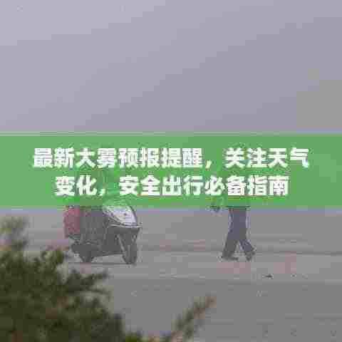 最新大雾预报提醒,关注天气变化,安全出行必备指南