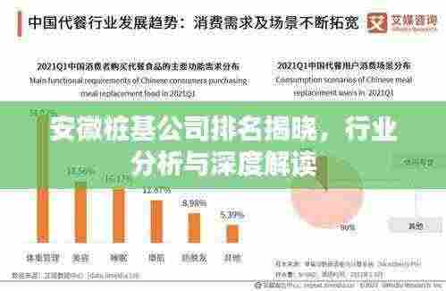 安徽桩基公司排名揭晓,行业分析与深度解读