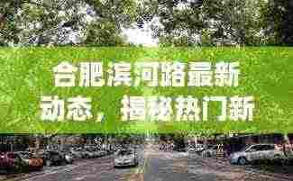 合肥滨河路最新动态,揭秘热门新闻头条